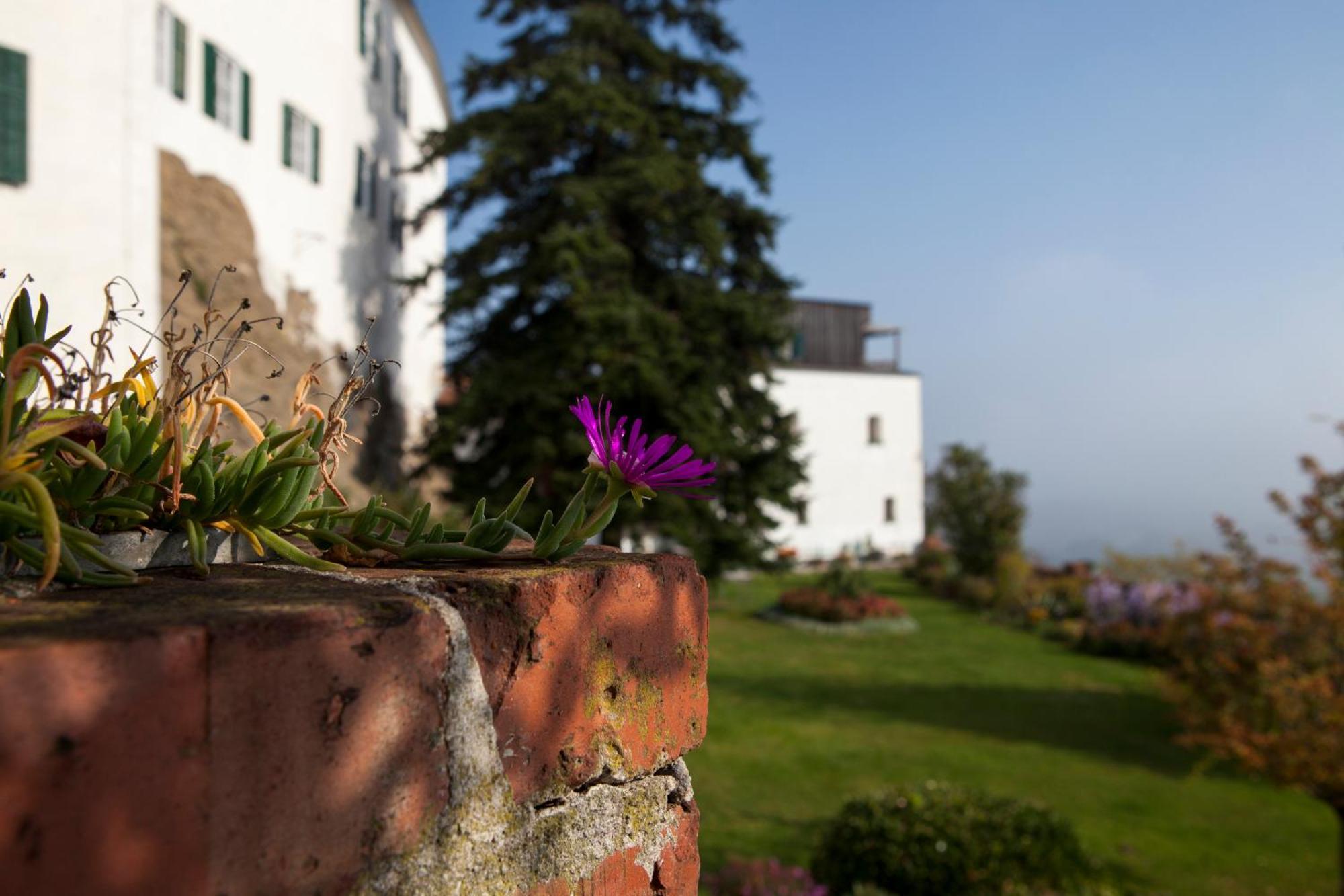 Schloss Kapfenstein Exterior foto